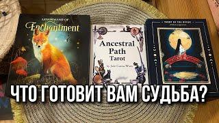 Выбери карту  100% ПРЕДСКАЗАНИЕ: ЧТО ГОТОВИТ ВАМ СУДЬБА?  ГАДАНИЕ ОНЛАЙН НА ТАРО Tarot Gadanie