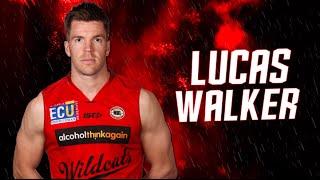 Perth Wildcats - Introducing Lucas Walker