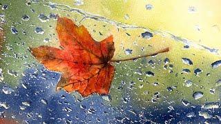 watercolor painting, rain and maple leaf ｜水彩风景，雨滴、枫叶