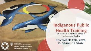 Indigenous Public Health Training at the Centre for Excellence in Indigenous Health