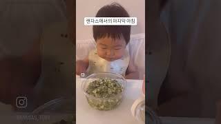 캔자스에서의 마지막 아침