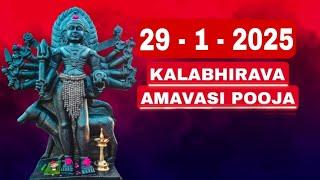 Kalabhairava Amavasi Pooja 29 - 1 - 2025|KALABHAIRAVATEMPLE|Dr.M.SHIBU NARAYANAN|#kalabhairava|