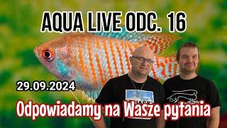 AQUA LIVE ODC. 16 | Rozmowy o akwarium | 29.09.24 |  #aquascapingtv