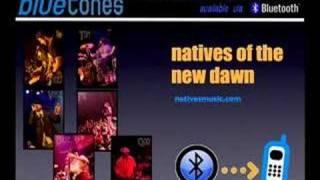 BLUETONES