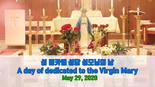 성 미카엘 성당 성모의 날 (A day of dedicated to the Virgin Mary during covid 19)- May 29, 2020