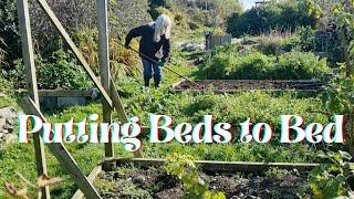 Putting Beds to Bed