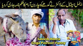 Goga Pasroori Veterinary Doctor and Saleem Albela come with Doncky Funny