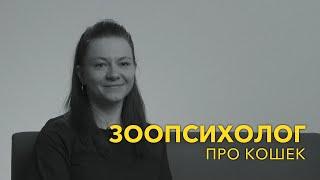 Зоопсихолог про кошек