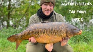 Linear Fisheries | 48 hours at Tar Farm | Lake 6