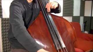 Canon in D - Double Bass