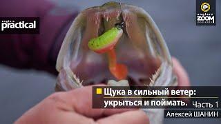 Щука в сильный ветер: укрыться и поймать. Алексей Шанин. Часть 1. Anglers Practical