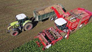 Vervaet Q-616 sugar beet harvester with rollerbed primary cleaning