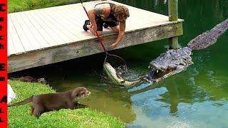 DO NOT GO FISHING around CROCS and OTTERS! **Survival in the Ark**