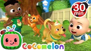 Opposite Song + More | CoComelon - It's Cody Time | CoComelon Songs for Kids & Nursery Rhymes