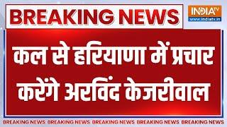 Breaking News : कल से हरियाणा में प्रचार करेंगे अरविंद केजरीवाल | Kejriwal Entry In Haryana Election