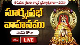 Surya Prabha Vahanam LIVE : సూర్యప్రభ వాహనము - Tirumala Srivari Varshika Brahmotsavalu 2024 Day 07