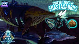 How to Tame Shastasaurus EASY Tutorial | Ark Survival Ascended