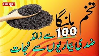 Tukham Malanga - Benefits & How to Use Basil Seeds