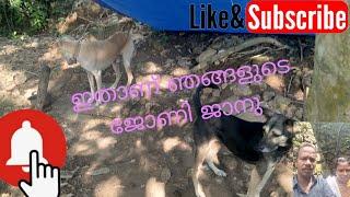 ഇതാണ് നമ്മുടെ ജോണി ജാനു@Shajiorucheriyafamily #like #dog