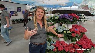 Take a Tour at Syngenta Flowers | CAST 2022