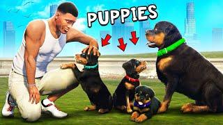 CHOP Had PUPPIES In GTA 5!