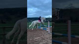 Ivy jumping Ace Stallion #equestrian #horseriding #horse #showjumper #stallion #horserider #rider