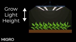 What is the best LED grow light hanging height?