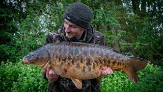 INCREDIBLE DAY TICKET CARP - Uk Carp Fishing