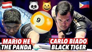 THE AUSTRIAN BIG PANDA VERSUS THE FILIPINO BLACK TIGER