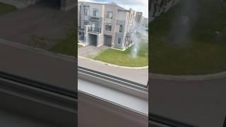 Lawnmower Explodes and stuns neighbours  #shorts