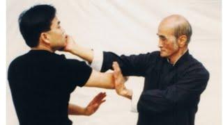 Wing Chun Kung Fu