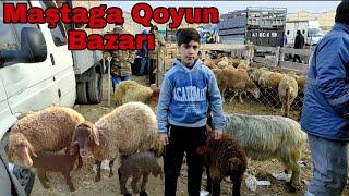 Maştaga Qoyun Bazarı 27 fevral 2022  #mastagaqoyunbazari #mastagamalbazari #elixezer