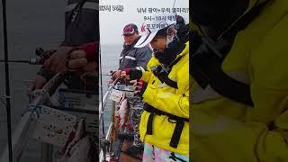 우럭낚시 입다문 우럭이 열어열어 #낚낚 #fishing #우럭낚시 #fishingkorea #낚시유투버