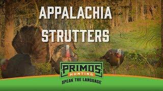 Appalachia Strutters - Turkey Hunts In Hills Of KY & TN! - Primos Truth About Hunting Season 19