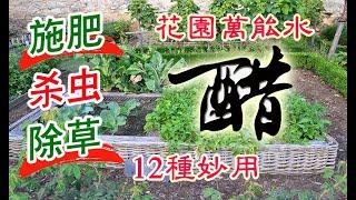 醋的12種妙用，施肥殺蟲除草清潔樣樣行，你全會用嗎？花園萬能水，後院種植必不可少！How to use vinegar in gardening?