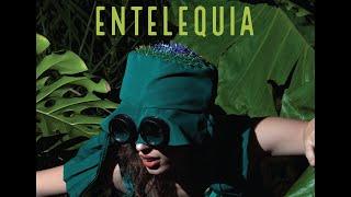 Fashion Film - Entelequia - TFC Fiorini 2022