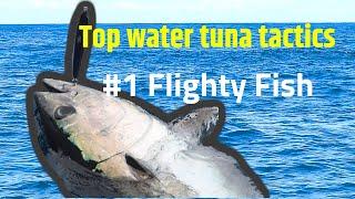 Top-water Tuna Tactics - Part 1 Flighty Fish