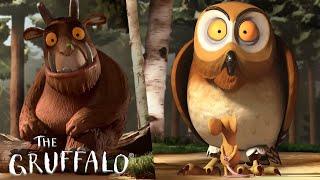 What Happens When Owl Meets the Gruffalo? @GruffaloWorld: Compilation