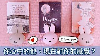 愛情塔羅占卜「你心中的他，現在對你的感覺?」Tarot Reading(三選一)(選一張牌)(有字卡)(不限時間)(頻道周邊商品已上架囉~)