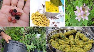 Evening routine vlog| Healthy Methi Muthiya recipe| Besan chutney| fruits plants care #dailyvlog