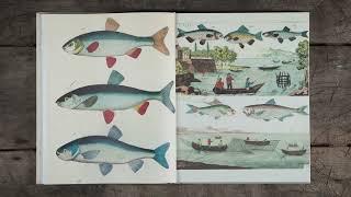 John Derian Picture Book II