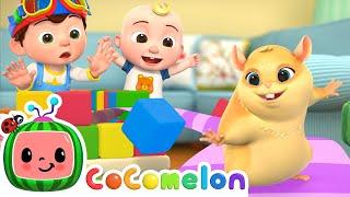 Hamster Escapes Amazing Maze!  | CoComelon Nursery Rhymes & Kids Songs