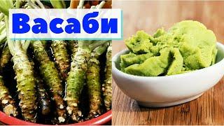 Васаби | Как это сделано | Wasabi. Japan