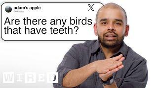 Bird Expert Answers Bird Tweets From Twitter  | Tech Support | WIRED