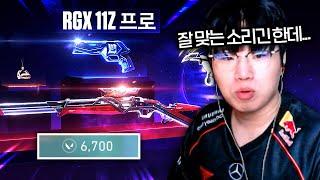 이딴 게... 17만원... 첫 아웃로 스킨이라고...? [RGX 3.0 풀 업그레이드 리뷰]