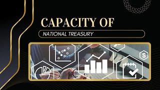 Capacity of National Treasury