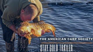 THE AMERICAN CARP SOCIETY - ONE MINUTE STAY GOLD TRAILER