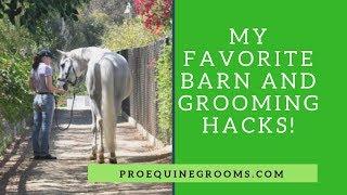 A Pro Groom's Favorite Barn and Horse Grooming Hacks