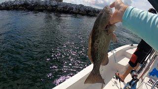 Fishing in Tampa Bay at Skyway Bridge For Mangrove Snapper and Tarpon with Strikelines Charts