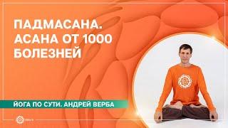 Падмасана. Асана от 1000 болезней. Андрей Верба